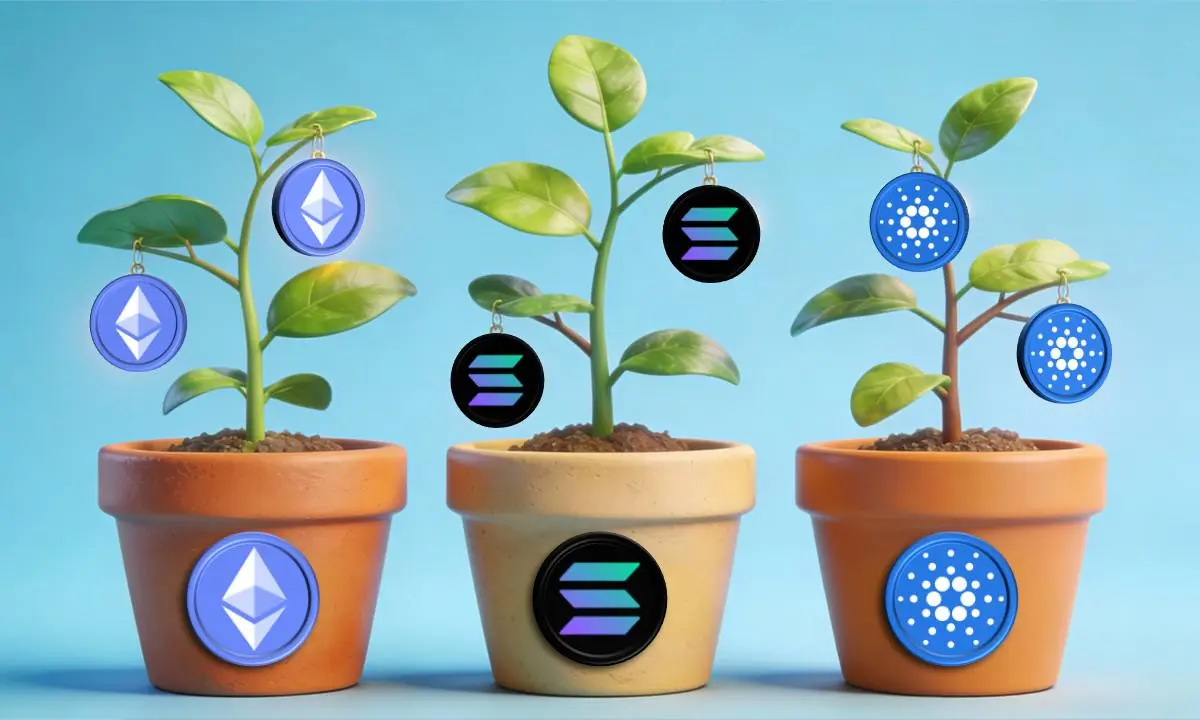 Best Staking Coins 2025: The Bitunix's Guide