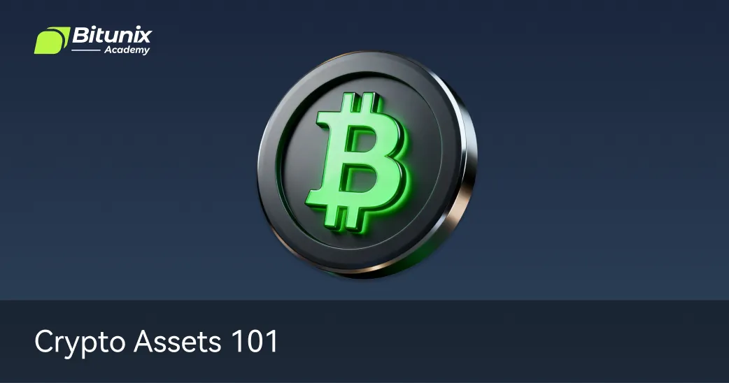 Crypto Assets 101