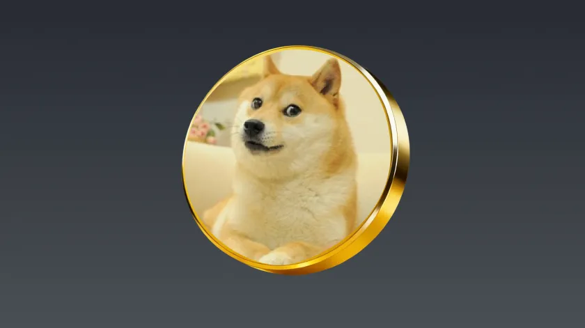 What Is DOGE?
