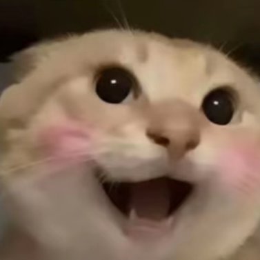 base-icon